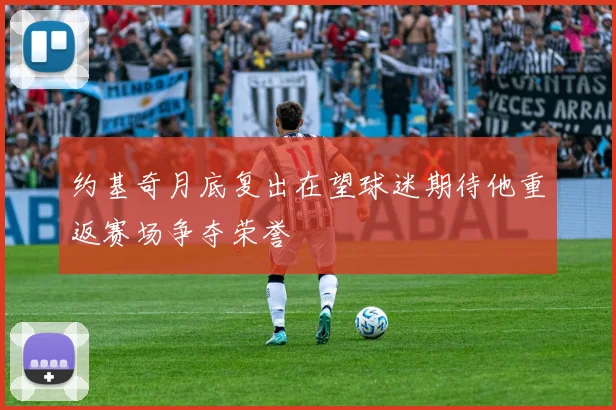 约基奇月底复出在望球迷期待他重返赛场争夺荣誉